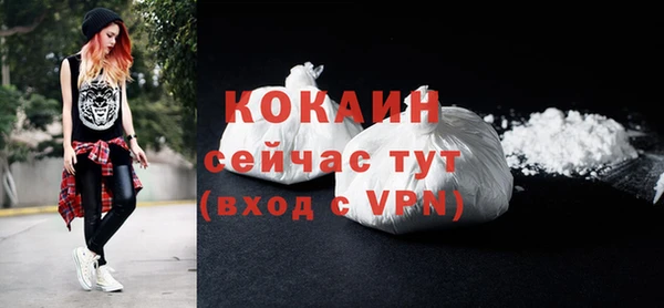 шишки Арсеньев
