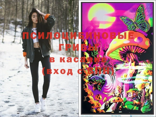 хмурый Армянск