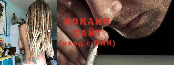 шишки Арсеньев