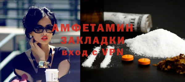 шишки Арсеньев