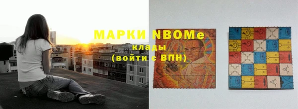 шишки Арсеньев