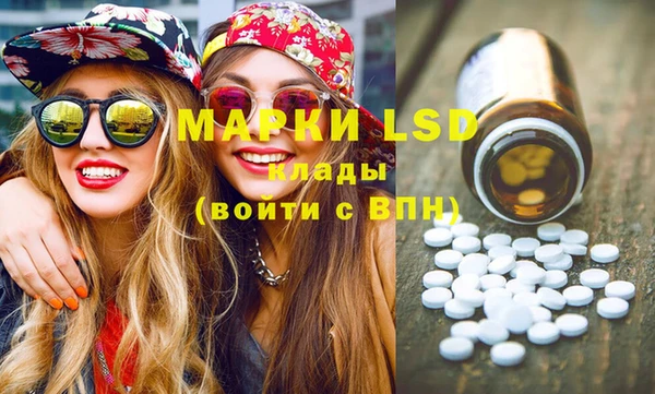 шишки Арсеньев
