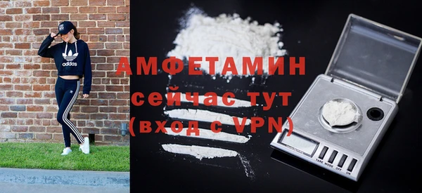 шишки Арсеньев