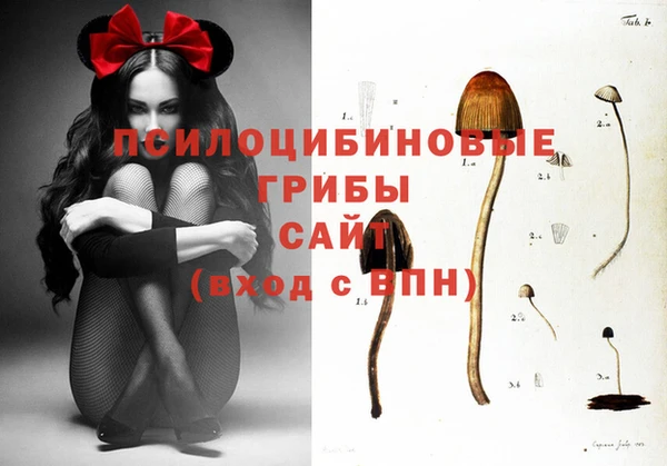 хмурый Армянск