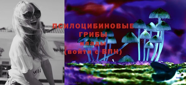 СК Аркадак