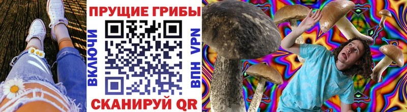 Псилоцибиновые грибы мухоморы  Старица 